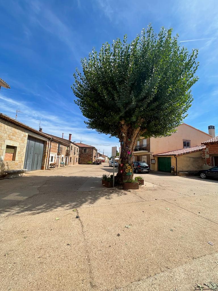 Paseando por la Revilla