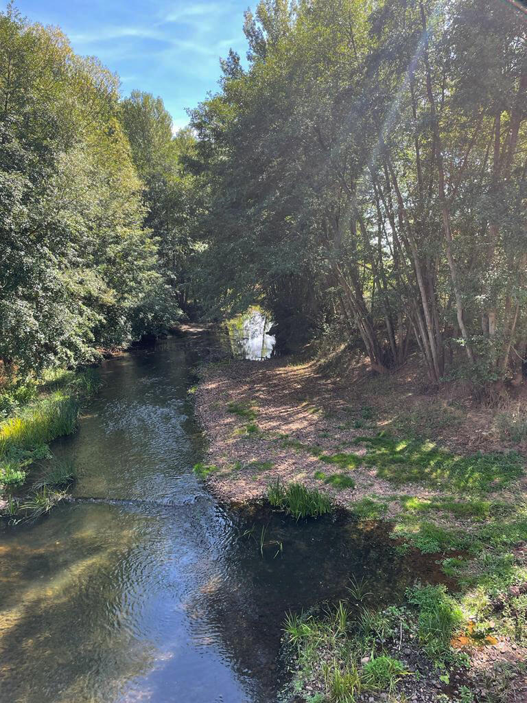 Paseando por la Revilla