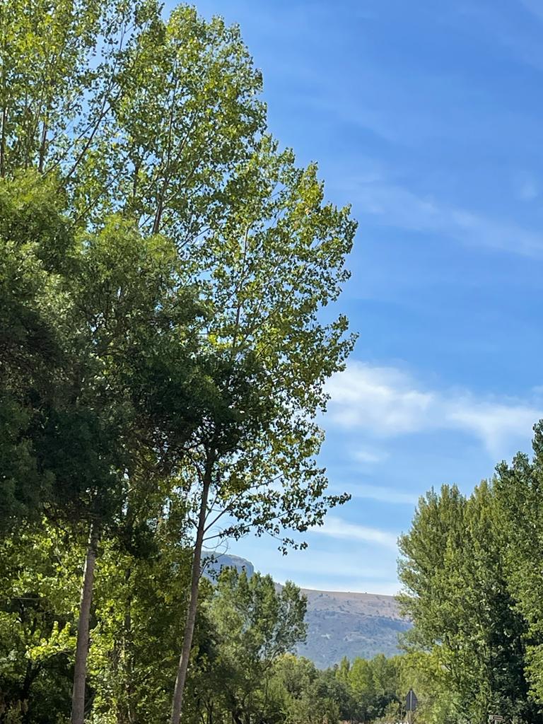 Paseando por la Revilla