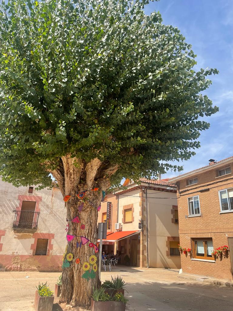 Paseando por la Revilla
