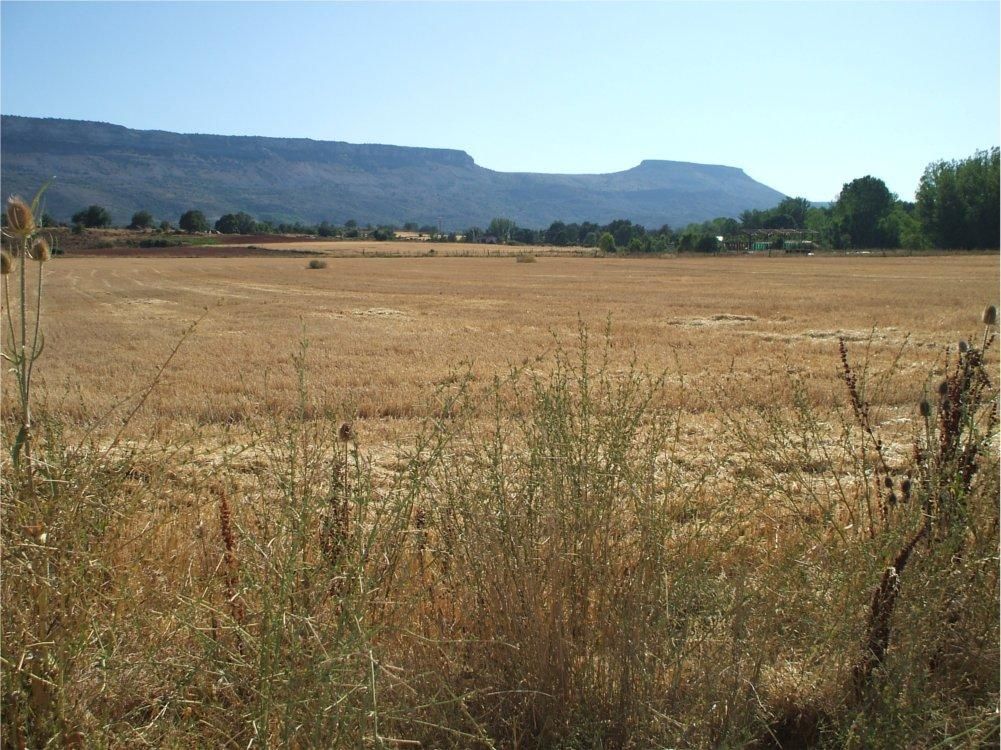 Peña Carazo